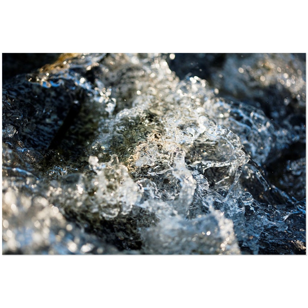 Diana Waters 4 | Aluminium Acrylic Dibond Wall Mounted Print