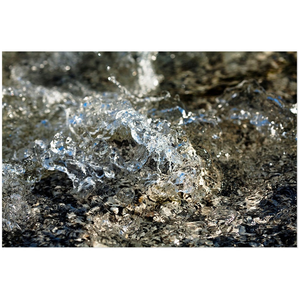 Diana Waters 1 | Aluminium Acrylic Dibond Wall Mounted Print
