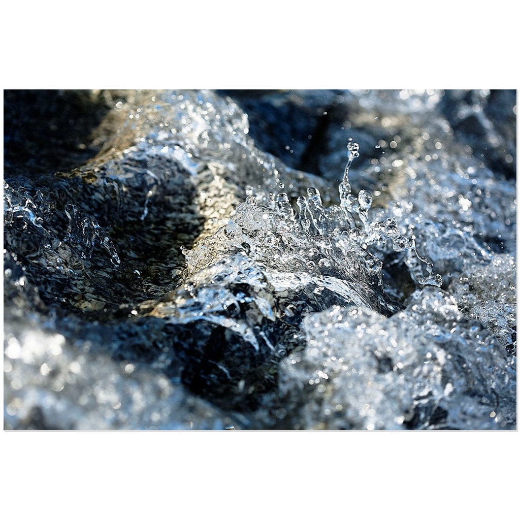 Diana Waters 2 | Aluminium Acrylic Dibond Wall Mounted Print