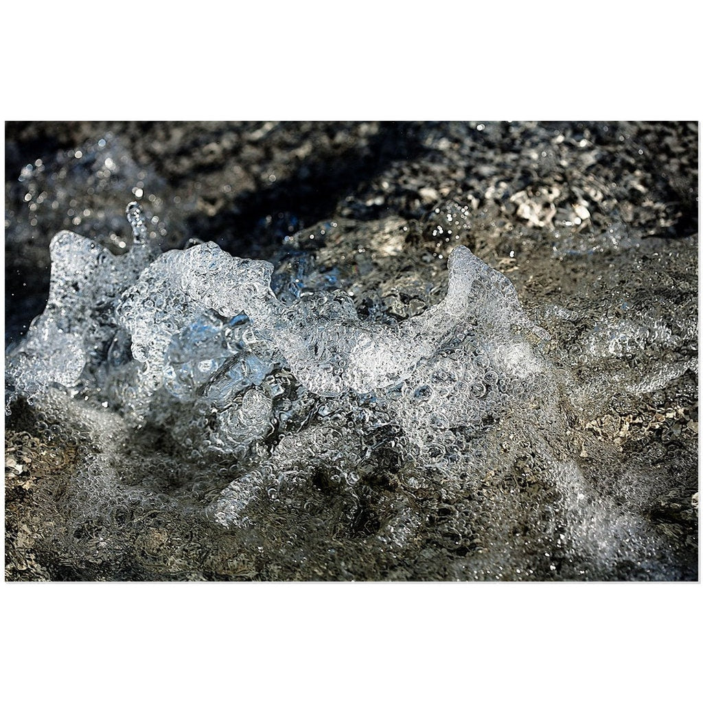 Diana Waters 3 | Aluminium Acrylic Dibond Wall Mounted Print